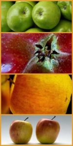 apple_types_330x660