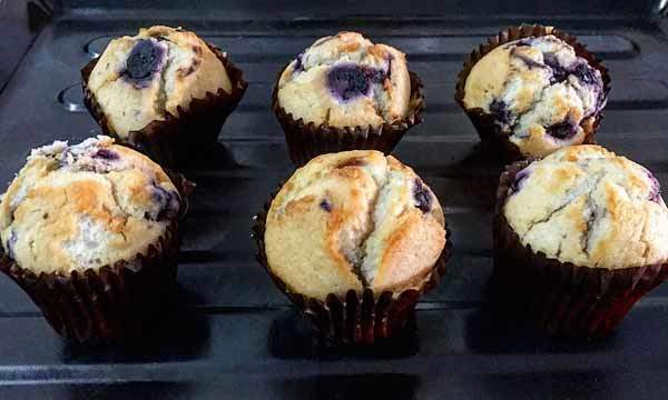 blueberry-muffins