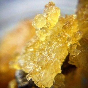 cbd-oil-cannabidiol-500x500