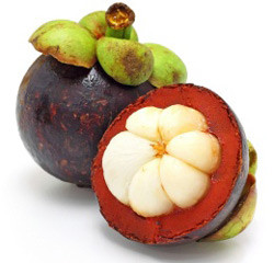 garcinia-cambogia-fruit-250x240