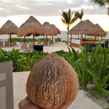 coconut-health-benefits-350x350