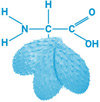 amino-acids-phenQ-ingredient