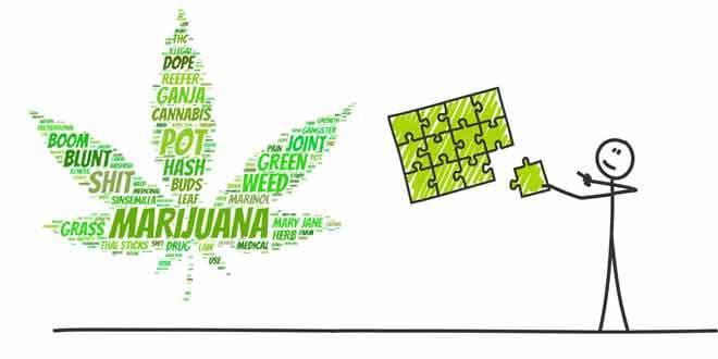 Marijuana and Mental Performance (2017 UPDATE) Tips and Tricks