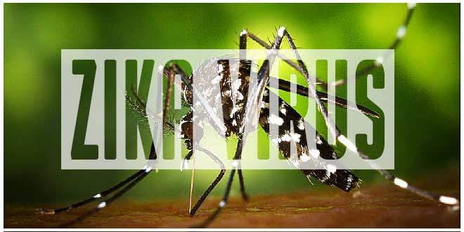 Featured visual summarizing evidence-based guidance related to All You Need to Know about Zika Virus.