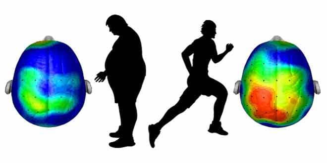 Featured visual summarizing evidence-based guidance related to Physical Exercise for Brain Health.