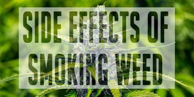 Featured visual summarizing evidence-based guidance related to Smoking Marijuana: Health Effects and Dangers of Weed.