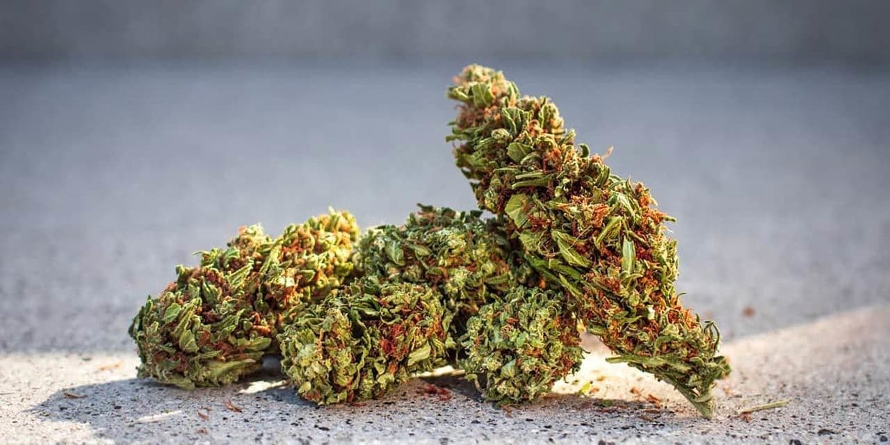 Known Side Effects of Cannabidiol - CBD Overview