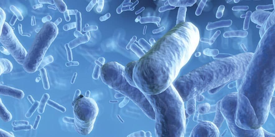 Featured visual summarizing evidence-based guidance related to Probiotics Benefits and Side Effects: The Good, The Bad and The Ugly.