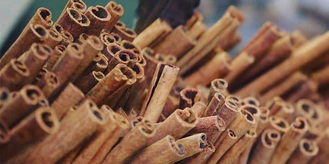 Cinnamon: The New Dopamine Booster