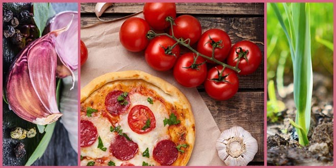 Garlic Health: 8 Impressive benefits of garlic - Food & Nutrition