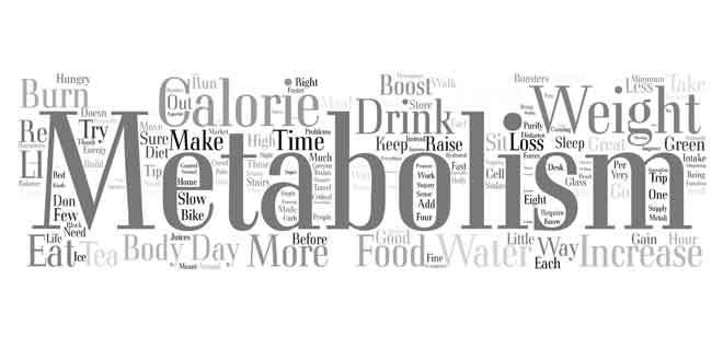 Easy Tips on How to Activate the Metabolism - Food & Nutrition