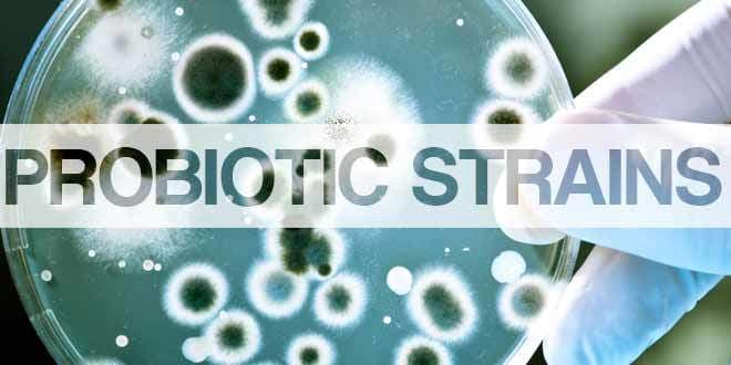 Probiotic Strains and Species | Benefits and Research - Food & Nutrition
