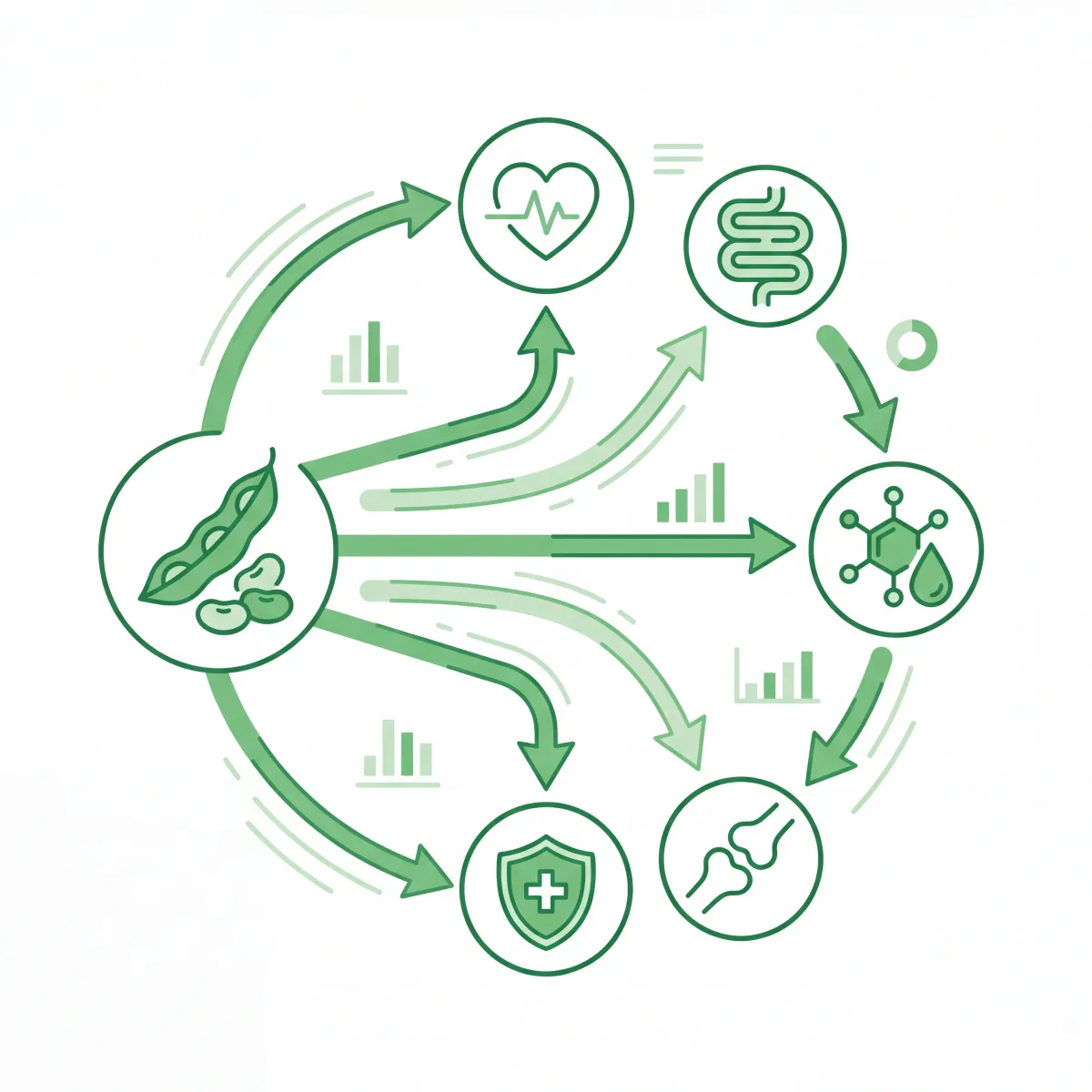 Infographic icons showing green bean benefits for heart, gut, and blood sugar