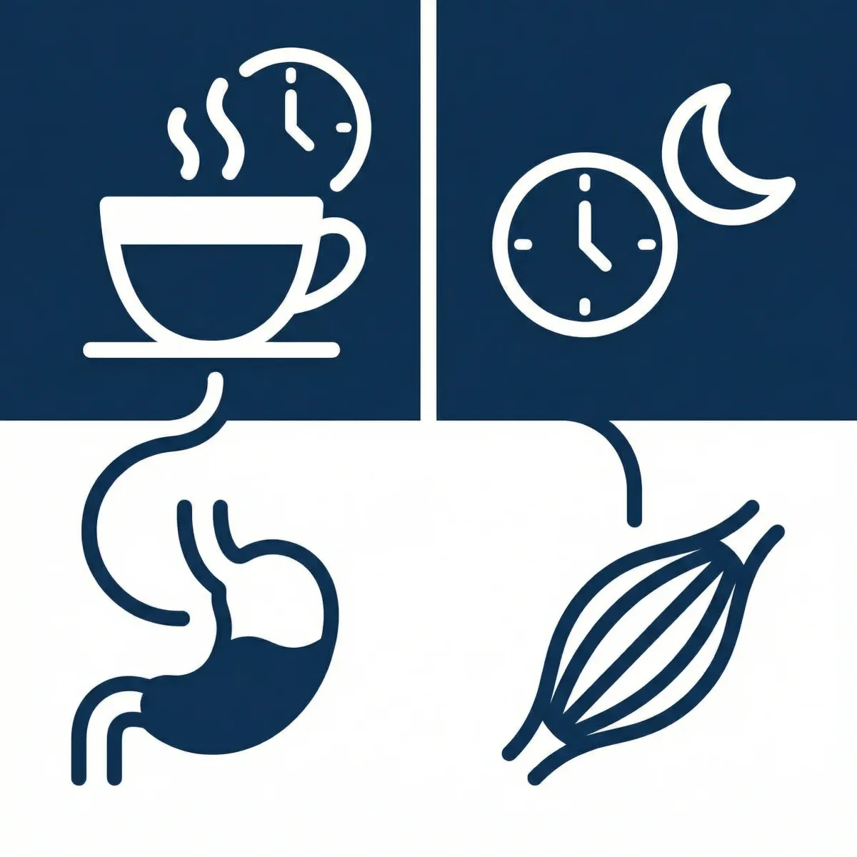 Icon-based infographic showing chamomile tea timing for evening relaxation and digestive comfort