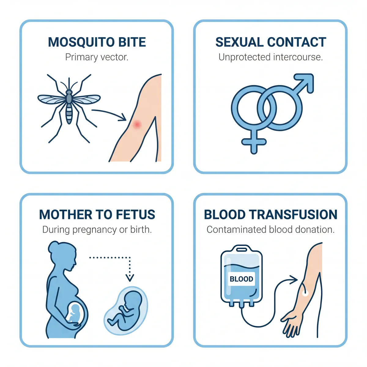 Infographic showing four Zika transmission pathways: mosquito bite, sexual contact, mother to fetus, and blood transfusion