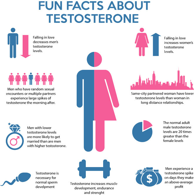 fun_fact_about_testosterone_levels_660x664