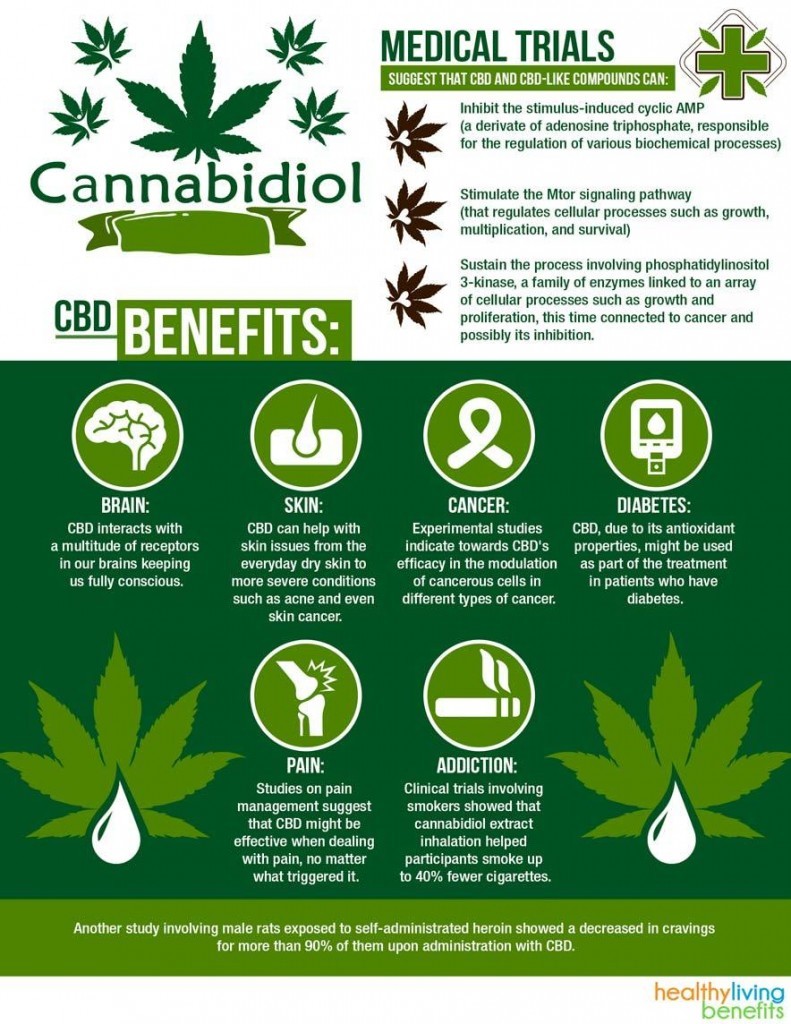 cbd-oil-benefits-explained-infographic-884\u00d71144 | Healthy Living Benefits